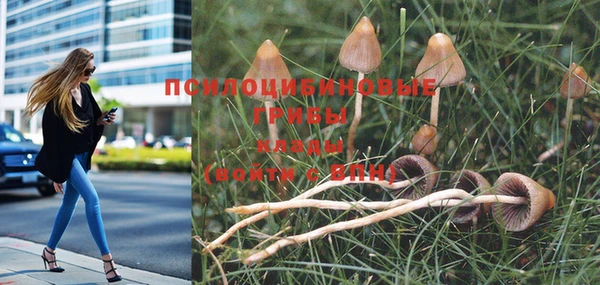 mdpv Алзамай