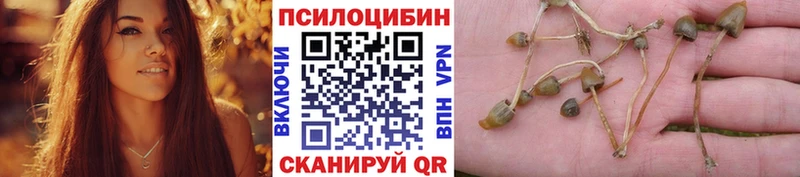 Галлюциногенные грибы Magic Shrooms  наркота  Елабуга 