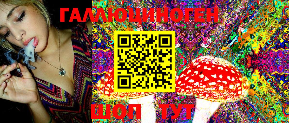 Галлюциногенные грибы MAGIC MUSHROOMS  что такое   Елабуга  Вход с VPN  Псилоцибиновые грибы MAGIC MUSHROOMS 