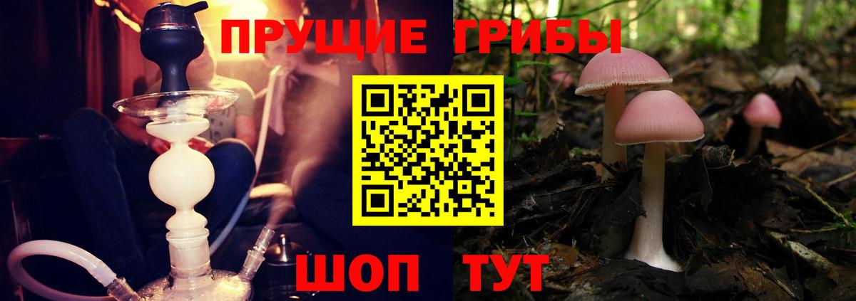 Галлюциногенные грибы Magic Shrooms Елабуга
